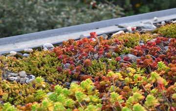 the cost of Littlewood green roof installation