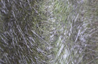 Littlewood fibreglass roof work